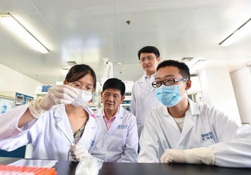 国家队 再现中国效率,汉产疫苗全球领跑